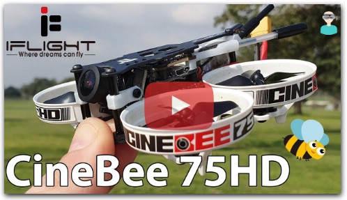 iFlight CineBee 75HD - Review, Setup & Flight