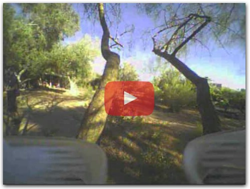 Arizona Tree Wheaving