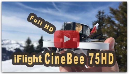 iFlight CineBee 75 HD Test im Schnee