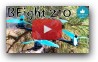 BFight 210 - Современный FPV Гоночный Дрон за Приятную Цену!