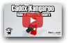 Обзор FPV камеры Caddx Kangaroo